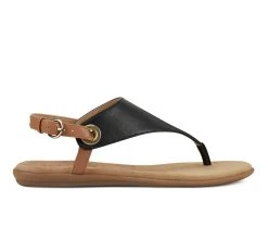 Women's Aerosoles In Conchlusion Sandals Black