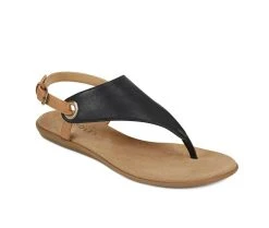 Women's Aerosoles In Conchlusion Sandals Black -GC shoes Shop 2 869